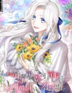 Frozen Wolf, Fire Dragon