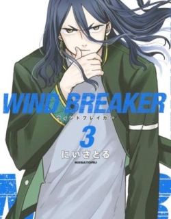 Wind Breaker (NII Satoru)
