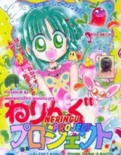 Neringu Project