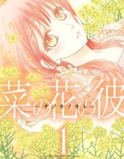 Nanohana no Kare
