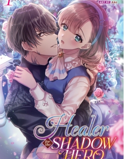 Healer for the Shadow Hero