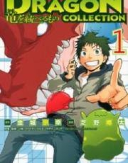 Dragon Collection - Ryuu o Suberumono