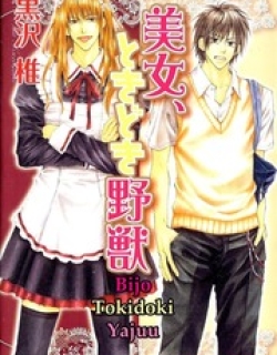 Bijo, Tokidoki Yajuu