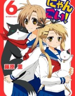 Nyankoi! - Manga