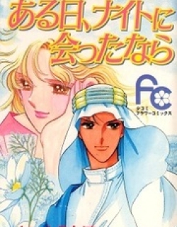 Aru Hi, Knight ni Attanara