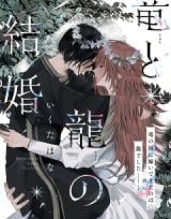 Ryuu to Ryuu no Kekkon