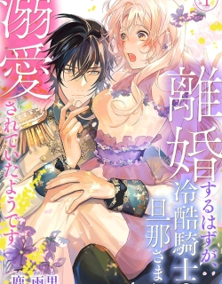 Rikon Suru Hazu Ga, Reikoku Kishi No Danna Sama Ni Dekiai Sareteita Youdesu