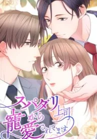 My Boss, the Ideal Man, Dotes on Me