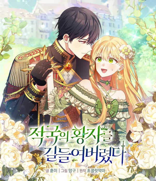 I Tamed the Enemy Prince