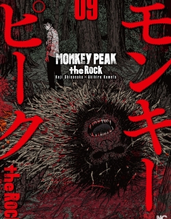 Monkey Peak the Rock