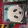 panda.